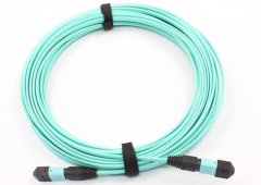 MPO Patch cord