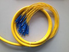 multifiber patchcord