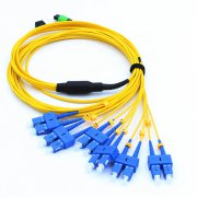 MPO Fanout Patch cord